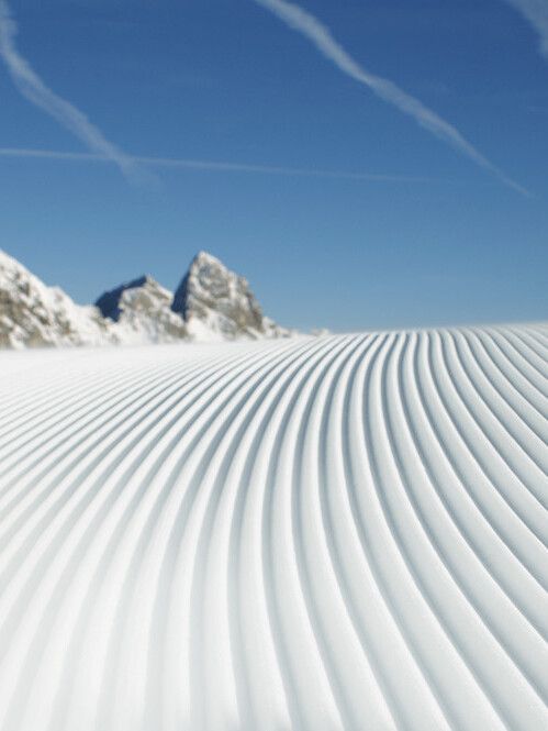 PRO ACADEMY : formations et entraînements pour le travail en station de ski