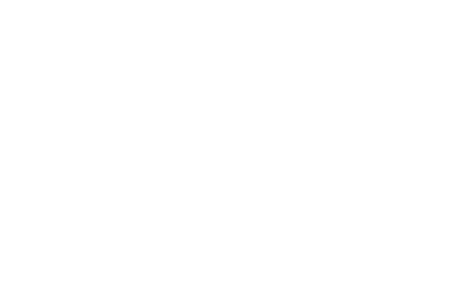 Assistenzsystem | Autotracer