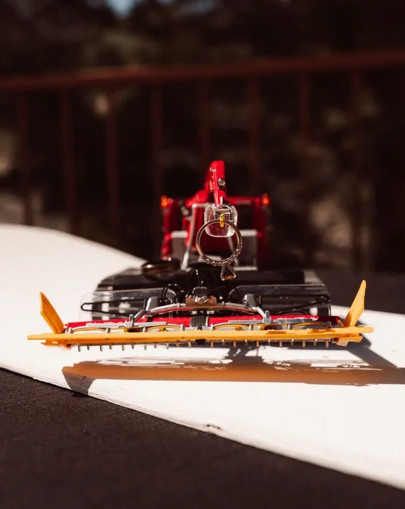 The PistenBuly RC winch that brought the rings down the aisle.