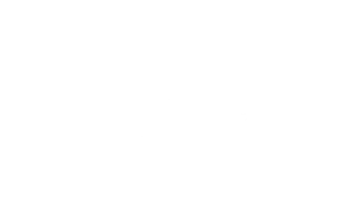 Assistenzsystem des PistenBully 600 Park: SlopeTracer