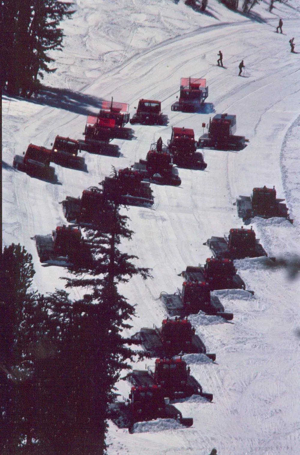 A large fleet of PistenBullys at Mammoth Mountain in the 80s.