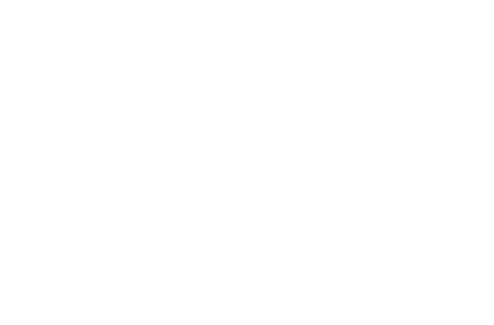 Assistenzsystem | Autotracer